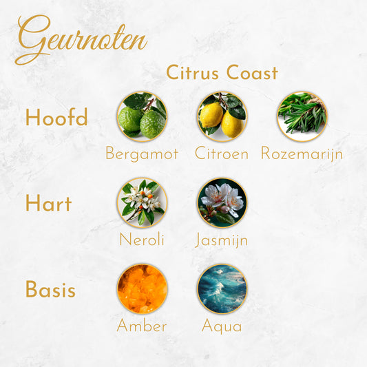 Citrus Coast - Unisex