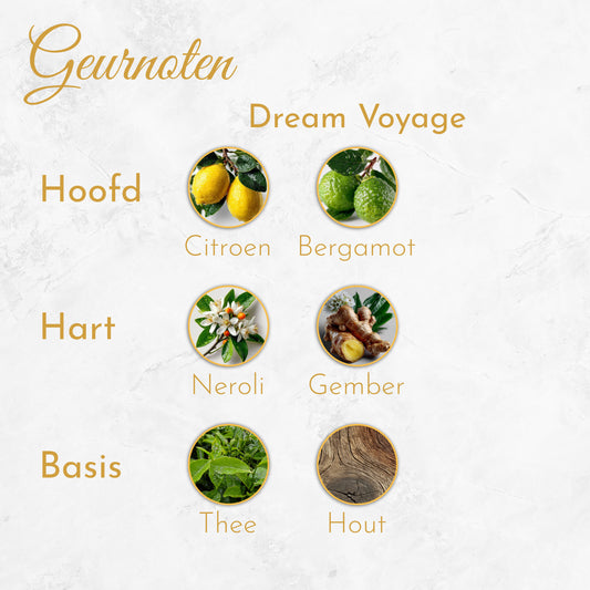 Dream Voyage - Heren