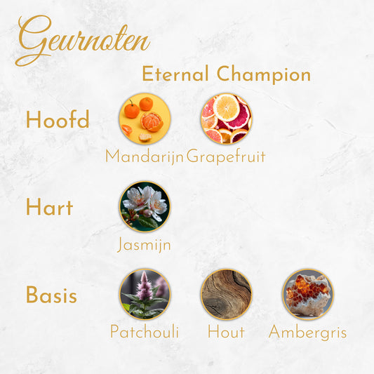 Eternal Champion - Heren