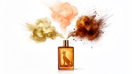 Welke parfum blijft lang hangen en hoe je de geur versterkt