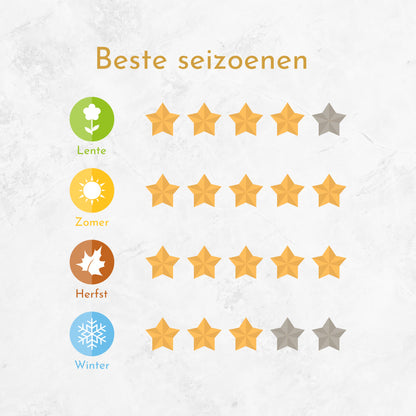 Adventure - Heren